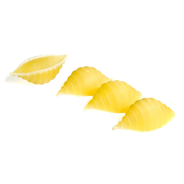 Anna Shells 1 LB - Image 2