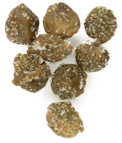 Cento Capers in Sea Salt 2 OZ - Image 2