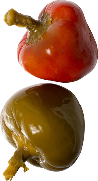 Cento Whole Hot Cherry Peppers 16 FL OZ - Image 2